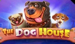 The Dog House at Golden Genie Casino